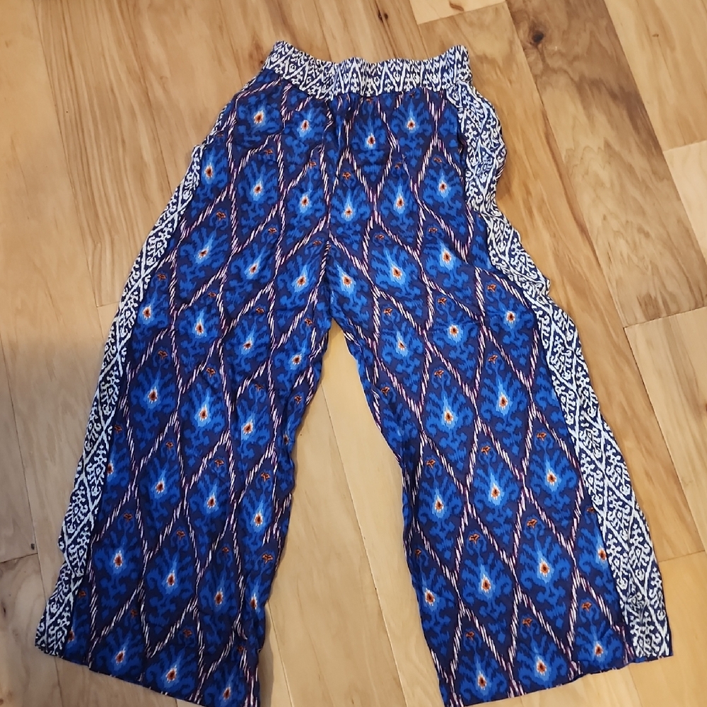 Anthropologie Blue and White Pants Petite